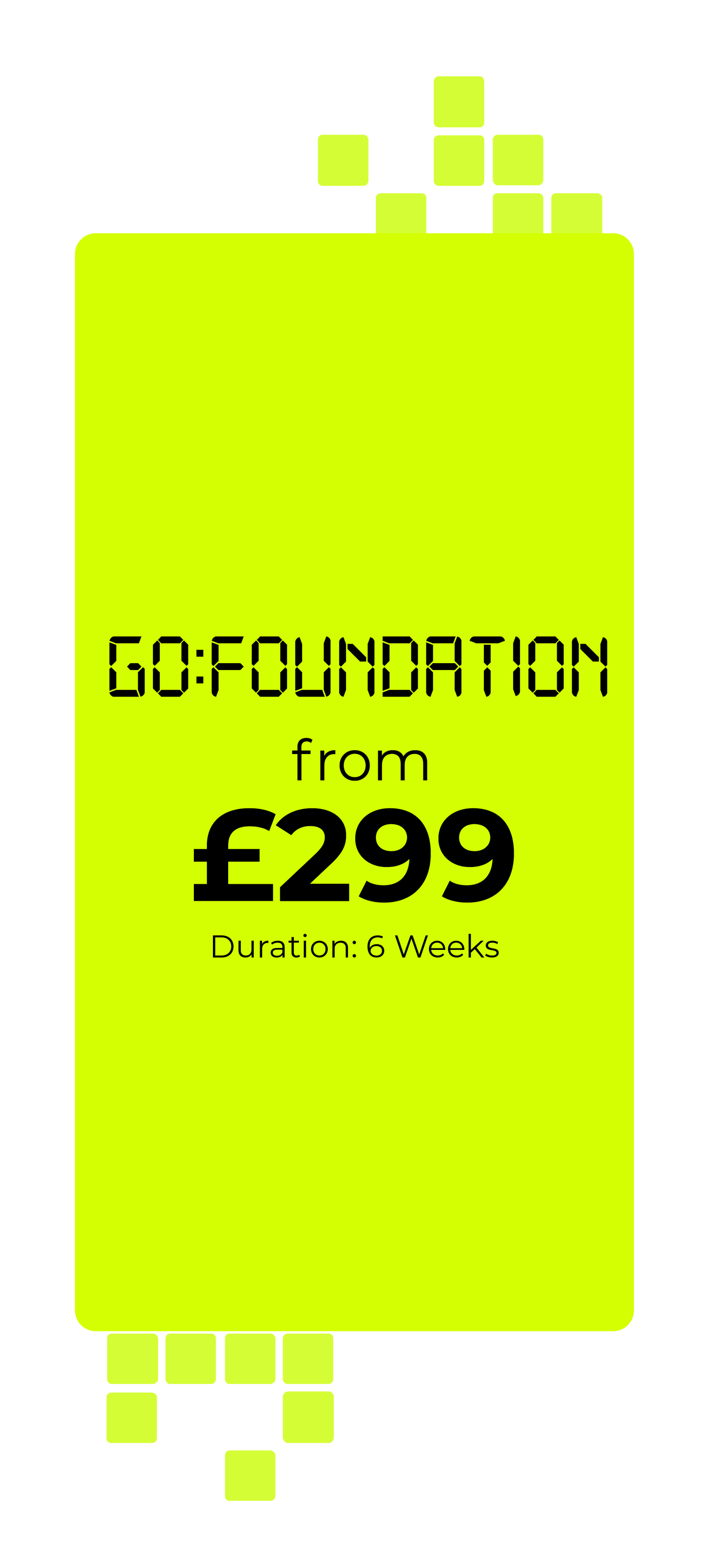 GO:FOUNDATION